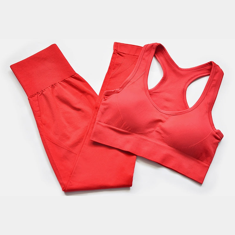 Seamless Sports Bra & Leggings Set