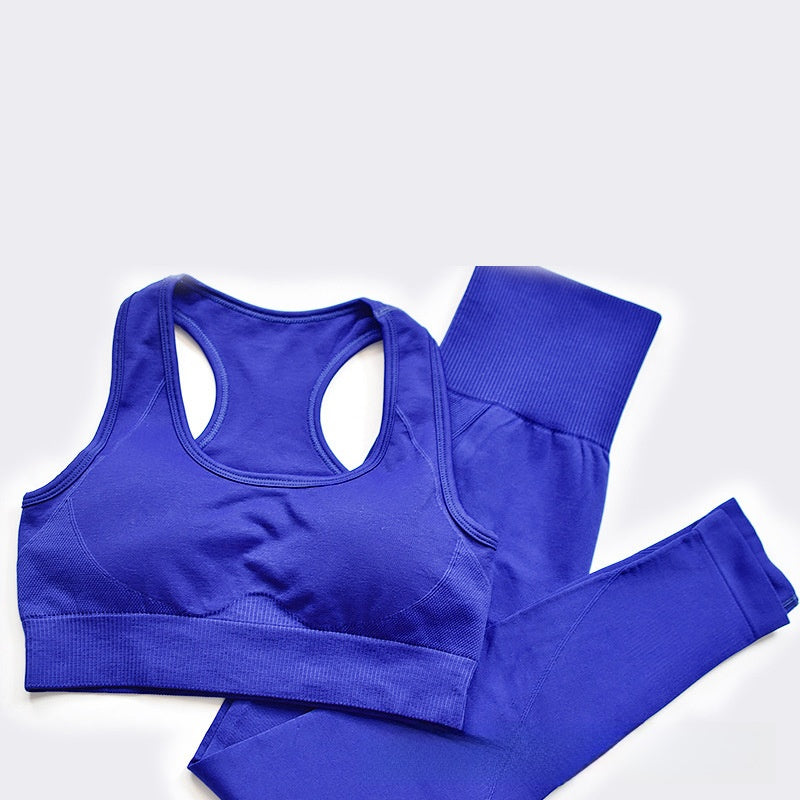 Seamless Sports Bra & Leggings Set
