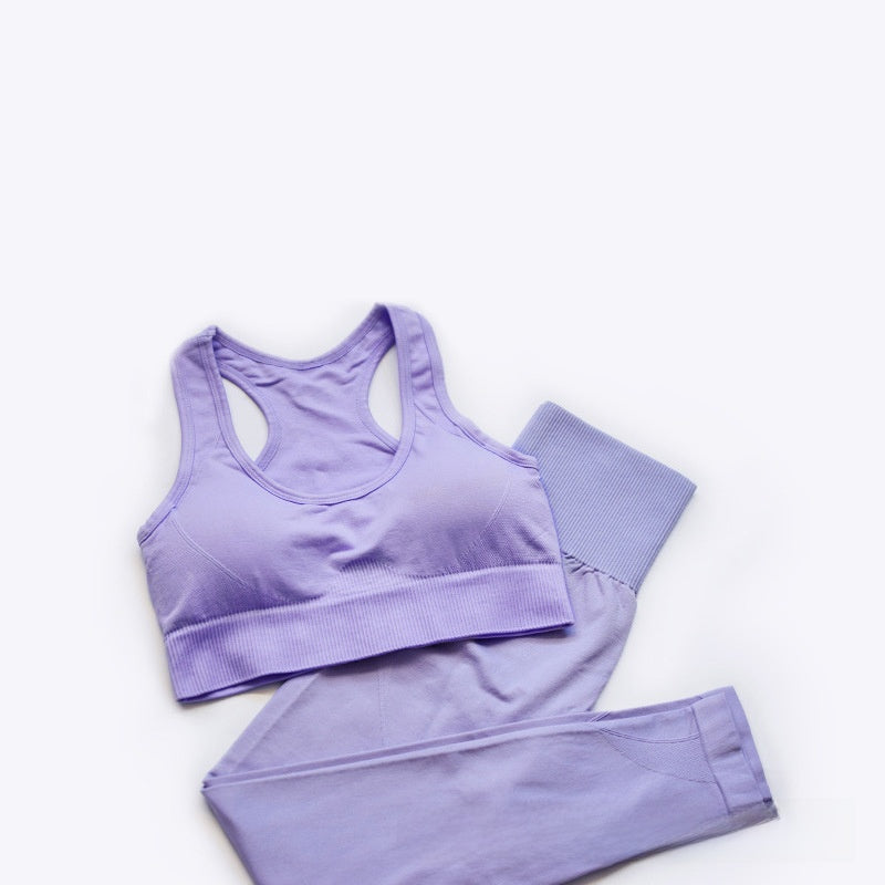 Seamless Sports Bra & Leggings Set